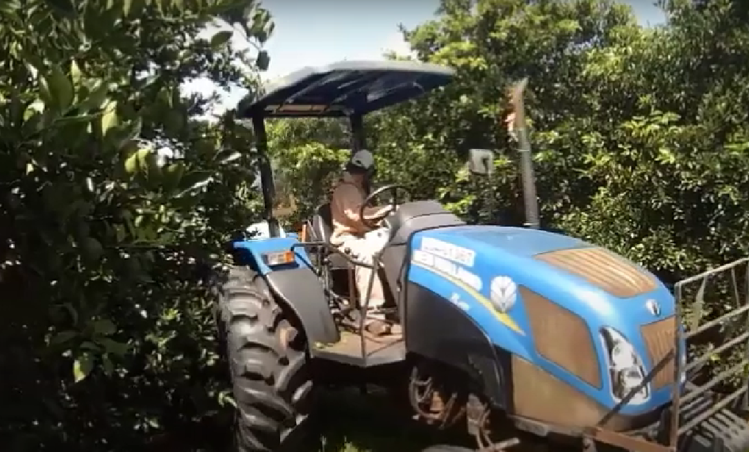 Brasil Ozônio também na Agricultura￼